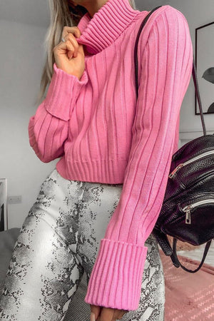 Pink Wide Rib Roll Neck Jumper - Joyanna