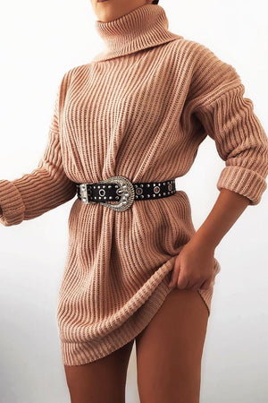 Pink Roll Neck Mini Jumper Dress - Dariyana